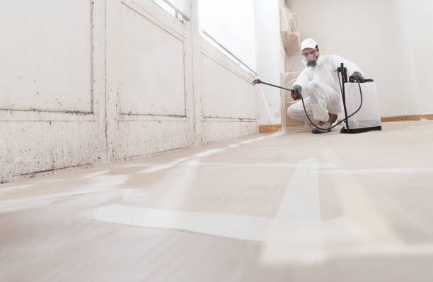 24/7 Emergency Attic Mold Removal experts in Silver Spring, MD