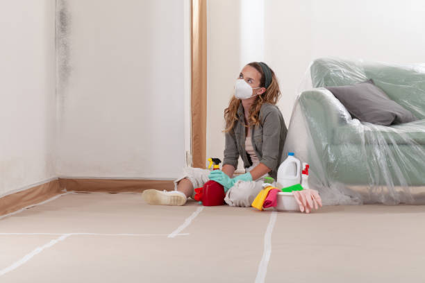 Trusted Black Mold Removal service in Silver Spring, MD - Cheap Mold Removal